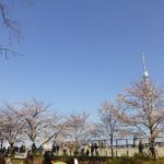 隅田公園4