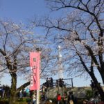 隅田公園5