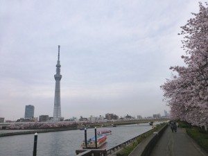 20160403_11